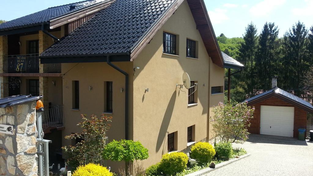 Willa Solina Hotel Solina  Exterior foto