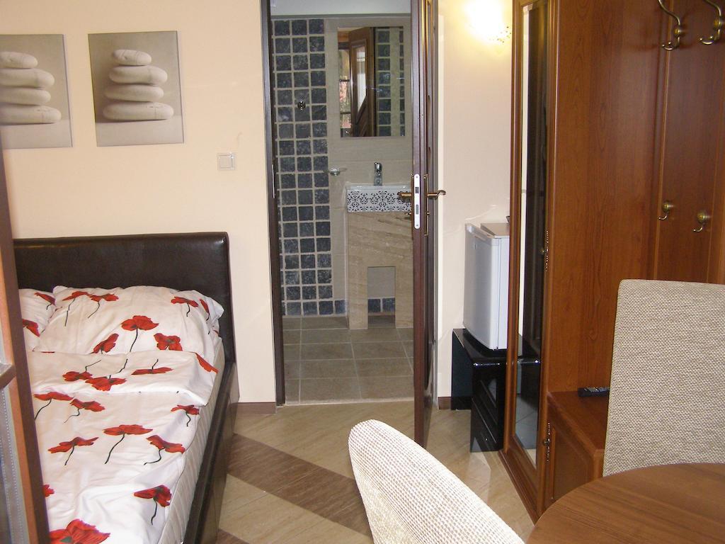 Willa Solina Hotel Solina  Cameră foto